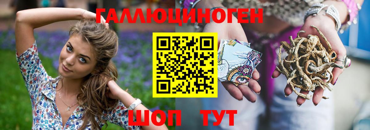 Улан-Удэ  Псилоцибиновые грибы GOLDEN TEACHER  Вход с VPN 