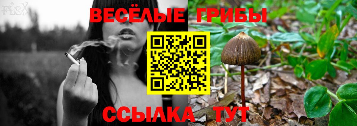 Галлюциногенные грибы ЛСД Улан-Удэ